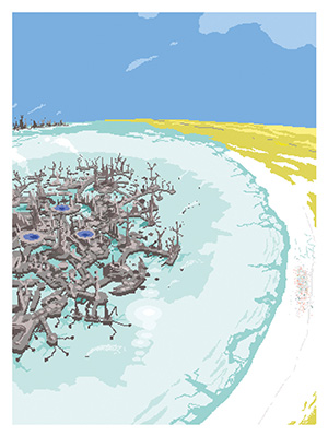 105.jpg